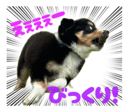 859336301
