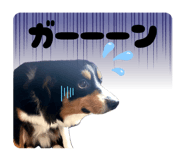 859336303