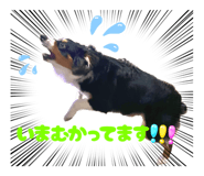 859336306