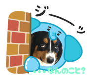 859336312