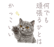 859336438
