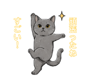 859336439