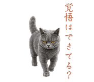 859336442