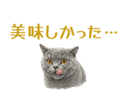 859336447