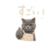 859336454