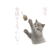 859336458