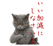 859336462