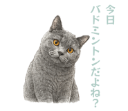 859336465