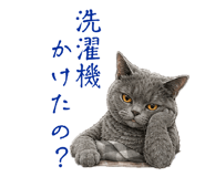 859336469