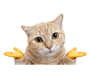 859339676