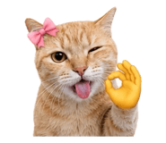859339681