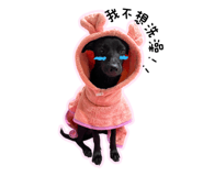 859340145