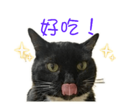 859340442