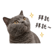 859342183
