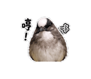 859342611