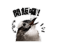 859342616