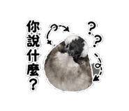 859342618