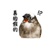 859342624