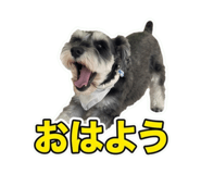 859344065