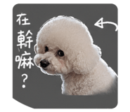 859348727