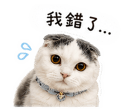 859354647