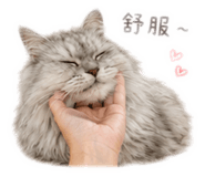 859354662