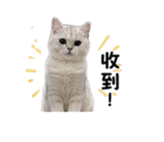 859355129
