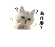 859355133