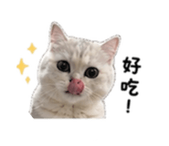 859355135