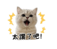859355136