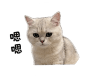 859355138