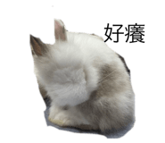 859358682