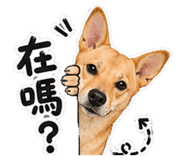 859378653