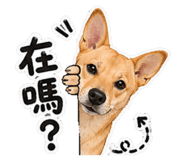 859378662