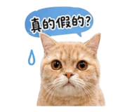 859381050