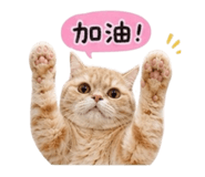 859381053