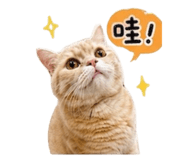 859381062
