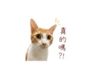 859381644