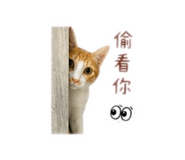 859381650