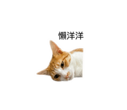 859381652