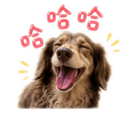 859384822