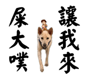 859388898