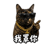 859391562