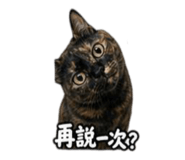 859391576