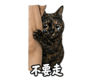 859391579