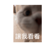 859393364