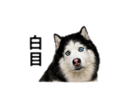 859394406