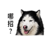 859394415