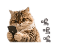 859395320