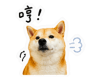 859396000